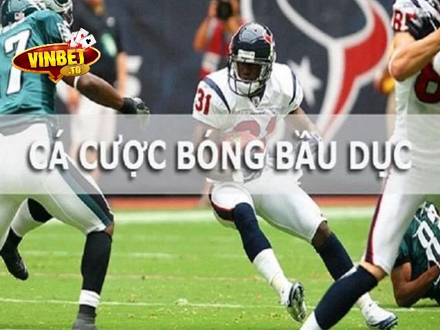 cá cược bóng bầu dục vinbet