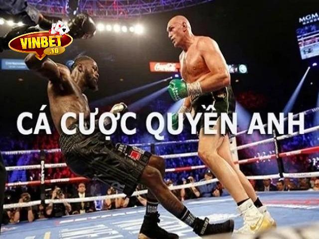 cá cược boxing vinbet