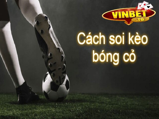 cách soi kèo bóng cỏ